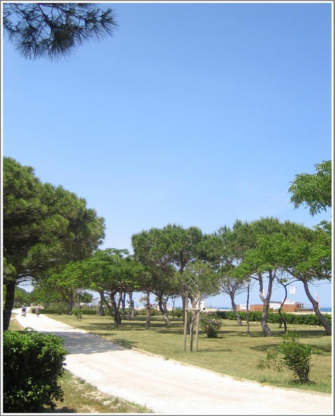 Locations Meublees Plage Des Pins Аржель-сюр-Мер Экстерьер фото
